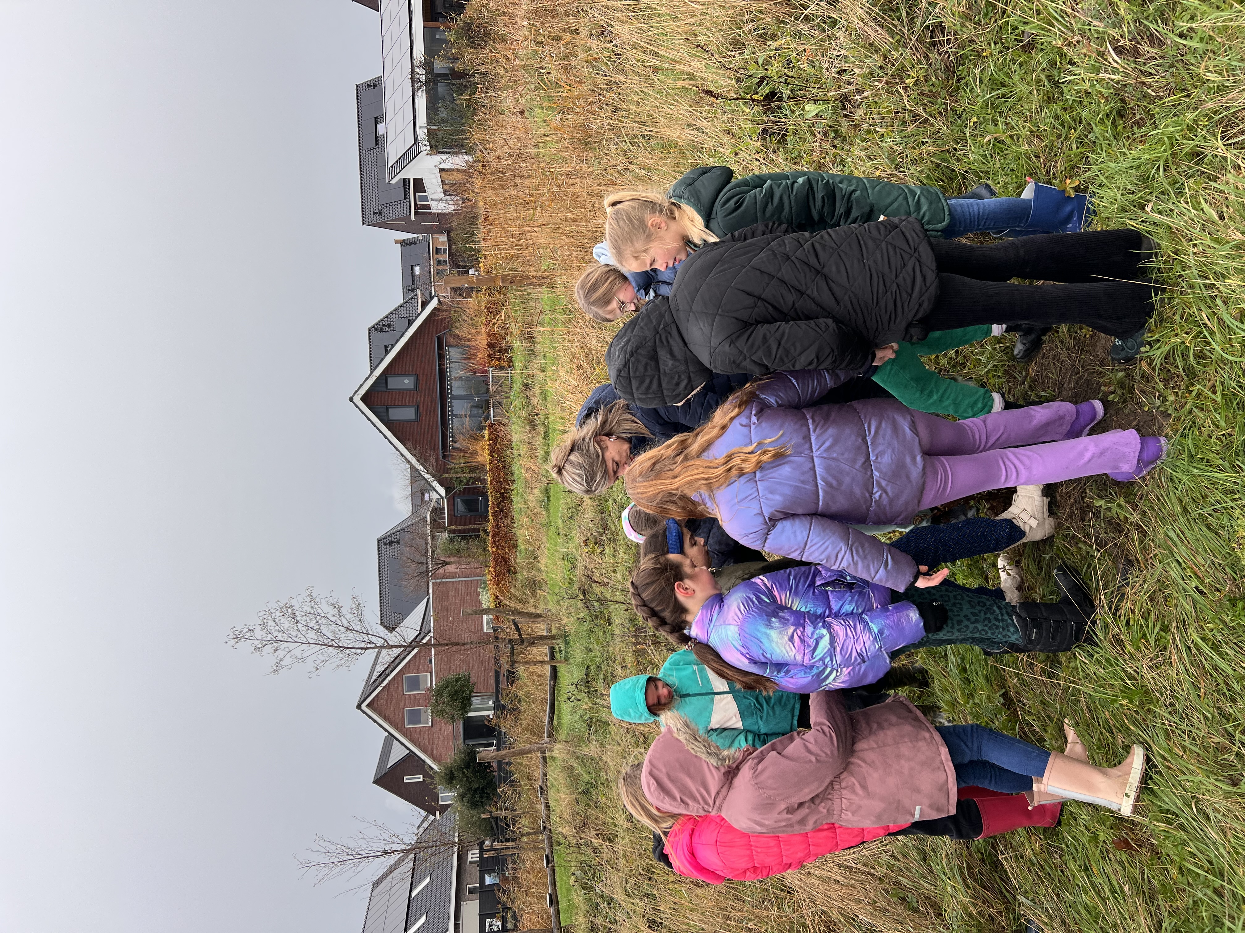 Boomfeestdag speeltuin groep 6 basisschool De Grienden Boomfeestdag speeltuin groep 6 basisschool De Grienden