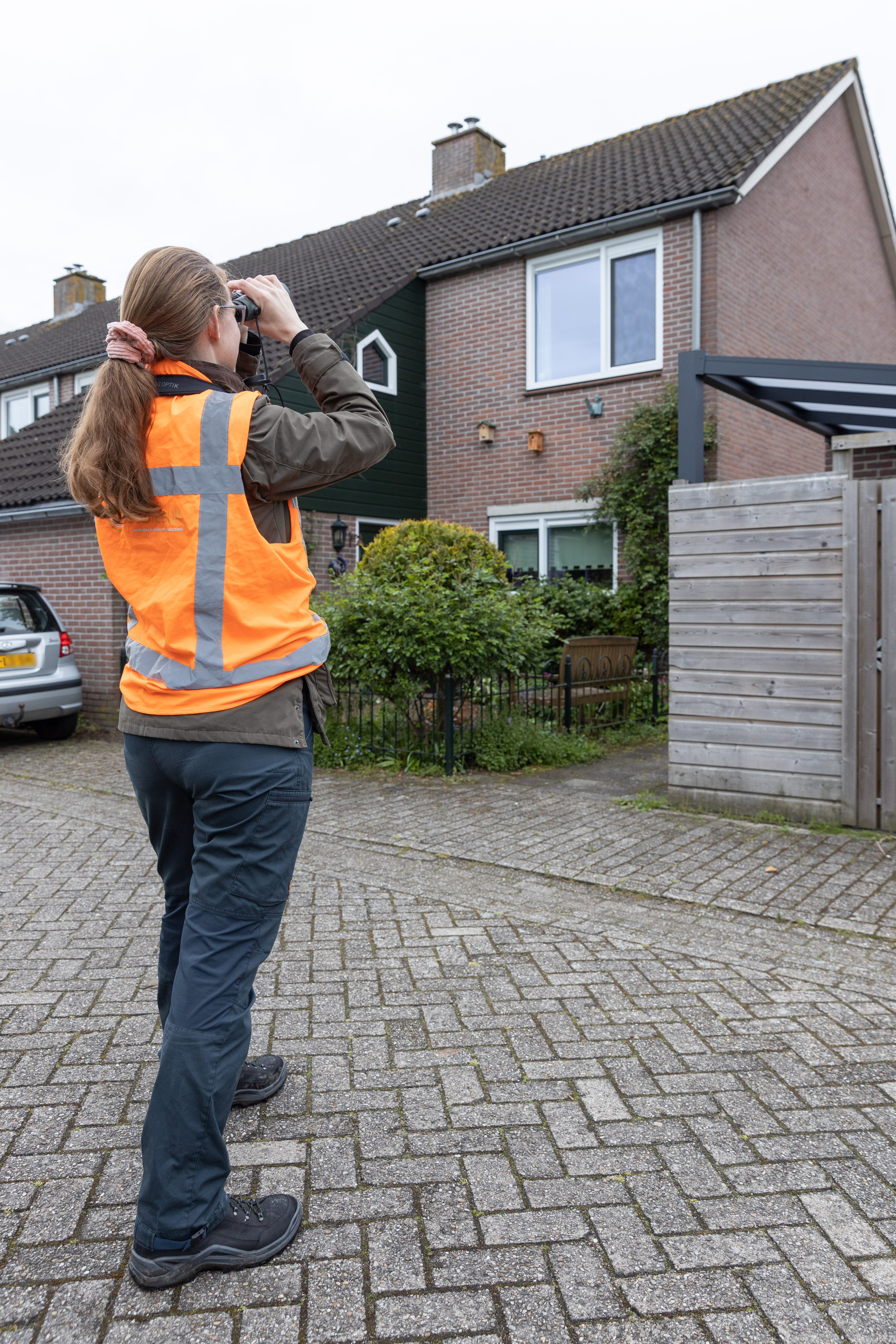 Onderzoeker van Ecoresult B.V. op pad voor het soortenmanagementplan.