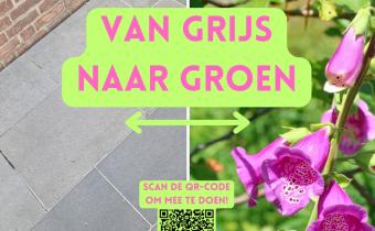 Van grijs naar groen